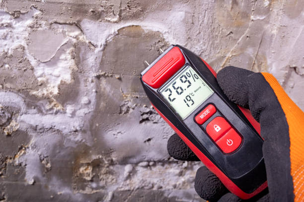 Mold Testing and Removal in Woodland, WA