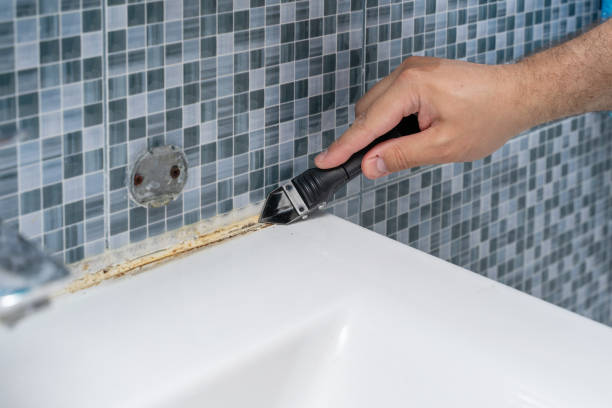 Best Emergency Mold Removal  in Woodland, WA