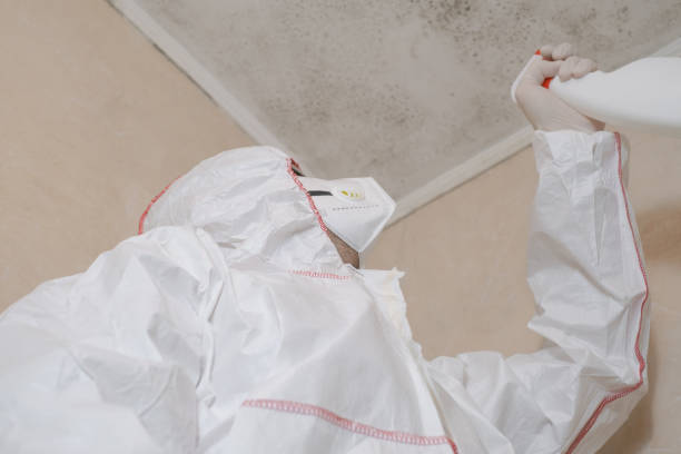 Best Office Mold Removal Services  in Woodland, WA